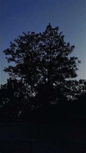 my view🖤☀️ #fypシ #trending #minivlog #views #vlog #india #world