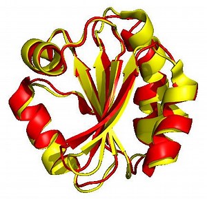 Structural alignment - Alchetron, The Free Social Encyclopedia