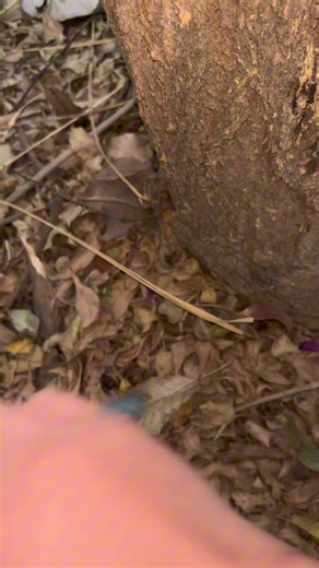 Understanding Physical Damage vs. Magical Damage