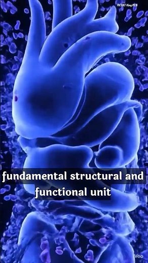 How Was the Cell Discovered? | Robert Hooke (1665)