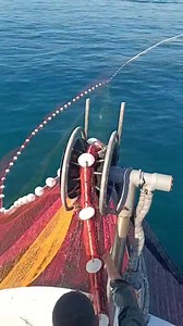 Fisheries World on Reels