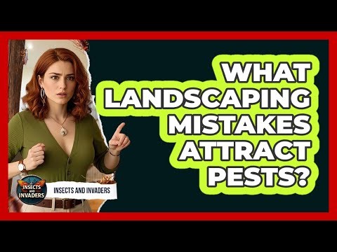 What Landscaping Mistakes Attract Pests? - Insects and Invaders