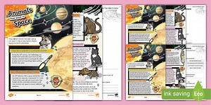 LKS2 Animals That Went to Space Reading Comprehension Activit