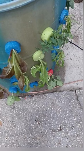 DIY Aeroponic Tower for Sustainable Urban Gardening