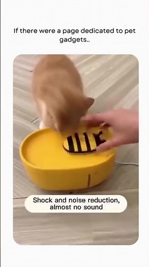 These products are essential and incredibly useful for your pets