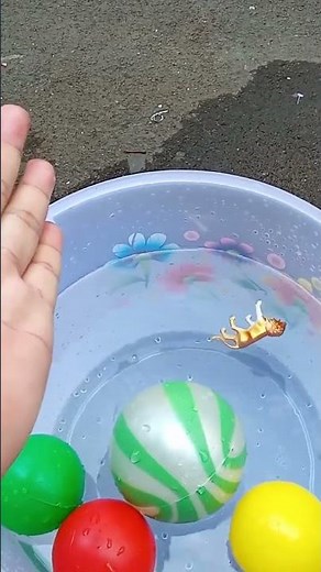 Very Satisfying Reverse Video Lion King 2