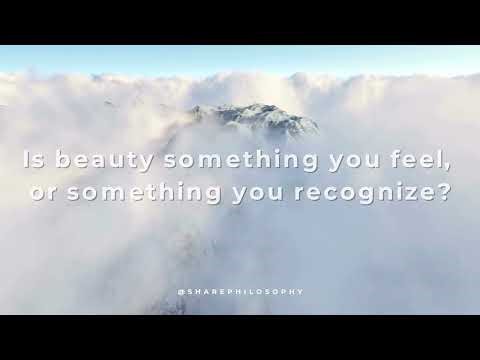 What is Beauty? - Why We Find Things Beautiful |