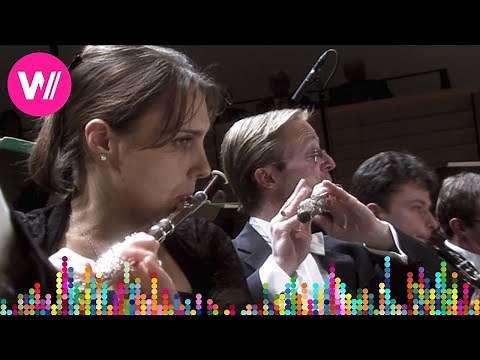 Tchaikovsky - Symphony No. 2 in C minor, Op. 17 (Mariinsky Theatre Orchestra, Valery Gergiev)