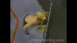 ＵＦＣノックアウト集