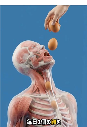 毎日2個の卵を食べ続けたら起きる体の変化。#卵 #たまご #ニワトリ #知識 #雑学