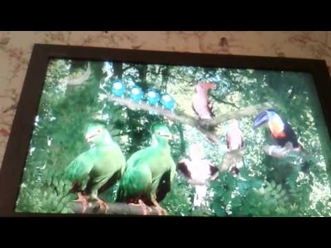 In the night garden birds song