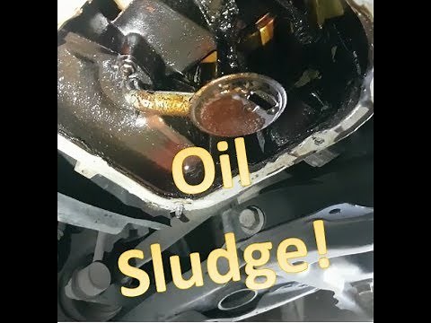 Engine Oil Sludge!