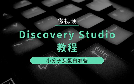 分子模拟软件Discovery Studio进行配体-受体体系处理教程