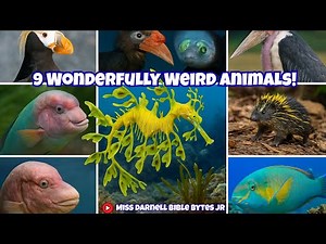 9 Wonderfully Weird Animals God Made! So Strange Yet So Cool!