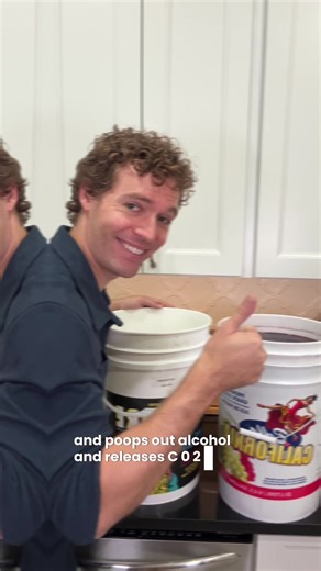 Homemade Winemaking Process Explained in Detail