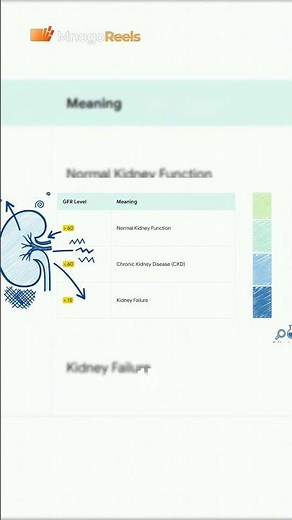 What Your GFR Number Means for Kidney Health