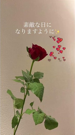 ハッピーバレンタイン💕 Happy Valentine's Day #バレンタインデー #バラ #ハッピー #花の写真