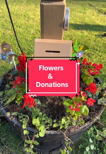 The library got a little makeover. And thank you to whoever donated all of the toys I was running low. #keychainlibrary #keychain #keychainsforyou #toys #keychaincollection #keychainsoftiktok #keychainasmr #arkansas #keychains #fun #dinosaur #koolaid #koolaidman #renandstimpy #transformers