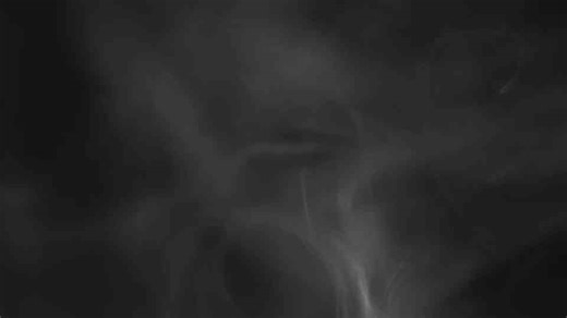 Beyond Beauty: 8 Heavenly Scented Plants to Enrich Your Garden