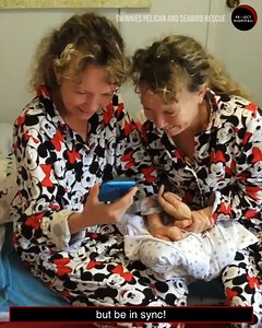 173K views · 2.7K reactions | These twin sisters from Australia went viral recently for a news interview where they spoke in sync! But haters suspect they are just faking it... so what is the truth? Watch till the end of the video for a great lesson :) | Project Nightfall | Facebook