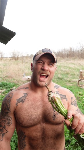 JD Miller on Instagram: "🌱Poison Hemlock Removal ☠️ Ever year, I face off with this nasty plant. I stay away from chemicals and have tried a few different natural methods, but none have worked as well as I’d like. So this year I’m tackling it by hand. Pulling these roots will take time, but it’s worth the effort to protect the land and keep it safe for the future. 🐄🐐🐑"