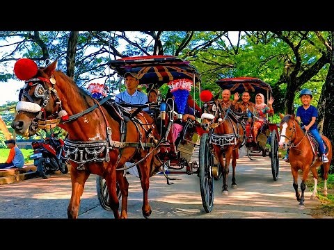 LAGU POPULER~NAIK DELMAN ISTIMEWA~KALAU KAU SUKA HATI~SATU-SATU~PELANGI-PELANGI~KUDA TUNGGANG