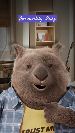 Compare the Market on TikTok