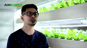 For all of you aspiring Agriprenuers! Find out why you should definitely consider Hydroponics... Note: We do not own this video. All the credit goes to Agribusiness How It Works! You may find their channel in Youtube. | Bulacan Hydroponics Supply