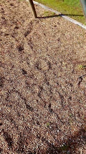 slamming bottle filled with rocks onto gravel sound effect