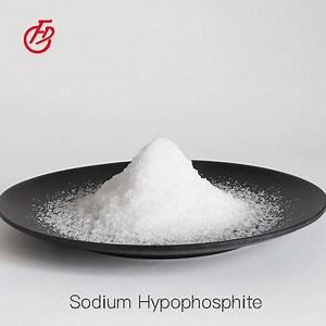 [Hot Item] Sodium Hypophosphite 10039-56-2 Dihydrate Hydrate Monohydrate Sodium Hypophosphite