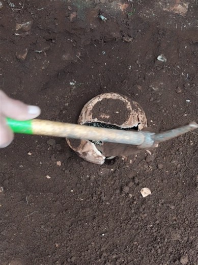 Uncovering Hidden Treasures with Metal Detectors