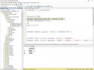 Collate, le classement et la langue d'une base de donnée SQL Server #16