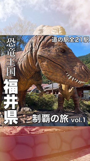りえもん(あいたの~愛犬と楽しくお出かけ~) on Instagram: "福井道の駅制覇の旅 vol.1"