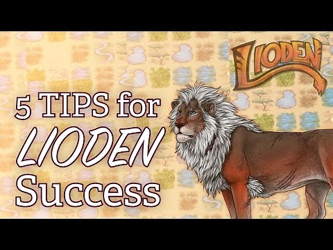 TOP 5 Lioden Tips