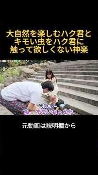 Haku-kun enjoying the great outdoors and Kagura-chan, who really doesn't want him touching those ...