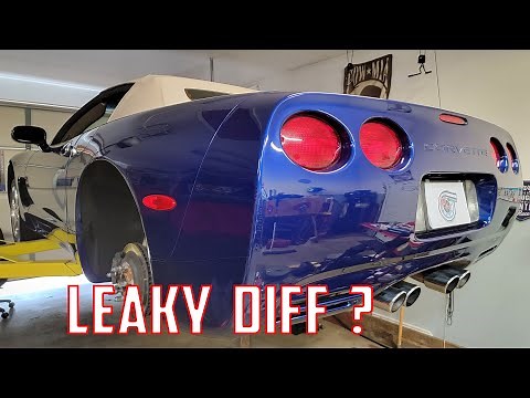 2004 C5 Corvette Leaky Dif Diagnosis (And General Inspection)