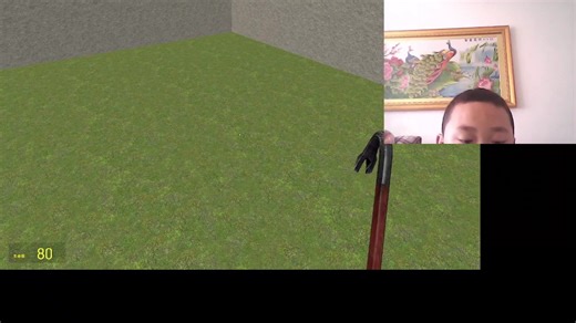 我的gmod模组人物成了error