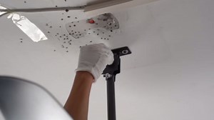 Depuley Outdoor Ceiling Fans with Lights: 42-Inch Waterproof Plug-in Ceiling Fan with Light and Remote App Control - 3-Blade Gazebo Hanging Outdoor Fans for Patios 6 Speeds Reversible - White