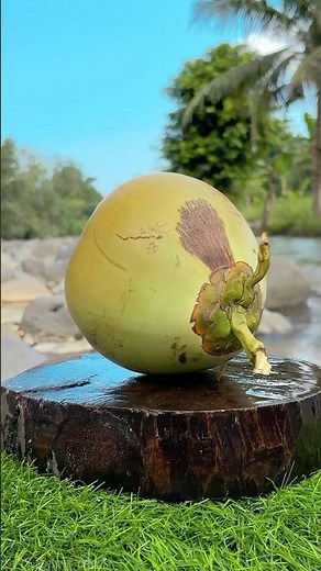 The Best Green Coconut! #shorts #coconut #asmr