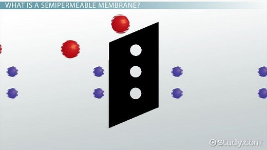 You must c C reate an account to continue watching