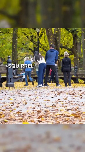 Hilarious Fart Pranks That Will Make You Laugh