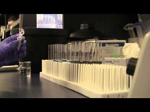 Stage 2: Measurement of Protein Concentrations with the Bradford Assay