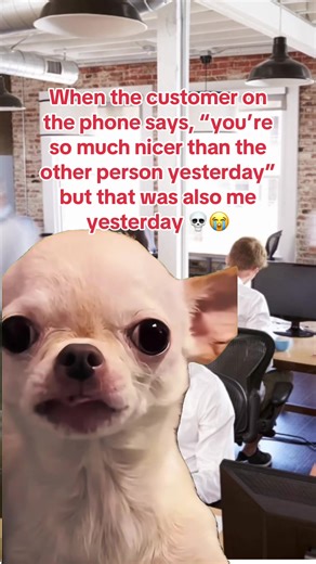 Hilarious Customer Service Moments to Relate To