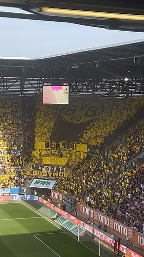 HEJA BVB! Zusammen zum Sieg! ✊ #FCABVB | Borussia Dortmund