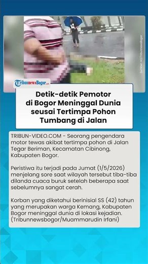 DETIK DETIK Pemotor di Bogor Meninggal Dunia seusai Tertimpa Pohon Tumbang Akibat Hujan Angin