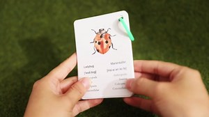 Wooden Bug Catcher for Kids, 360° Rotating Magnifier, Insect Explorer kit, with Bug Habitat, Butterfly Net, Bug Tongs, 10 Insect Cards, Montessori STEM Nature Toy for Outdoor