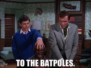 To the Batpoles.