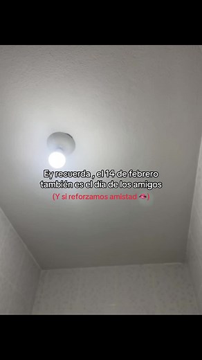 Celebrando el Día de la Amistad el 14 de Febrero