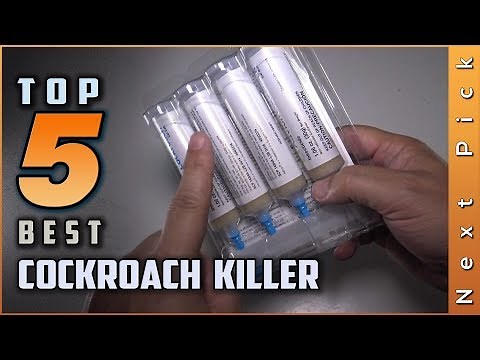 Top 5 Best Cockroach Killers Review in 2024