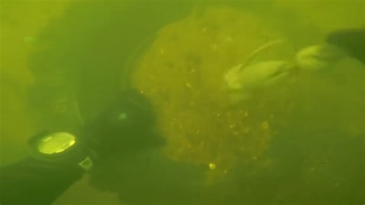 Found an anchor stuck to a tire underwater! | Adam Brown Adventures